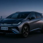coche byd dolphin surf noche en nueva york
